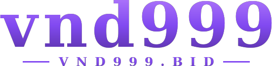 vnd999 logo